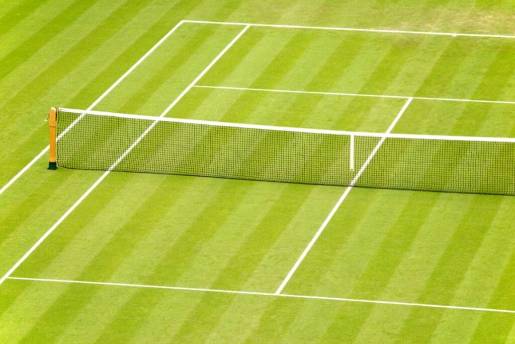 grass tennis court surfaces